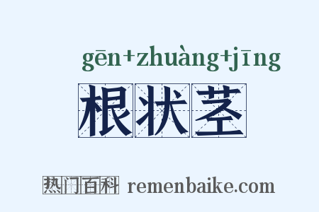 根状茎是什么意思的图片